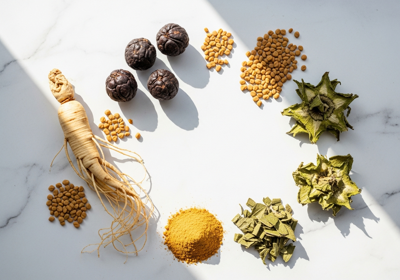 Natural herbal supplement ingredients including ginseng, tribulus, fenugreek, maca